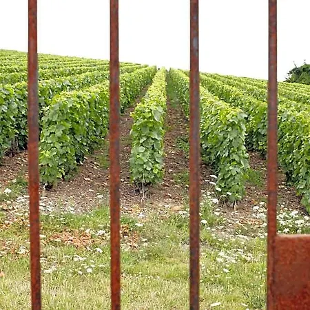 Bed & Breakfast Au Coeur Des Vignes Épernay