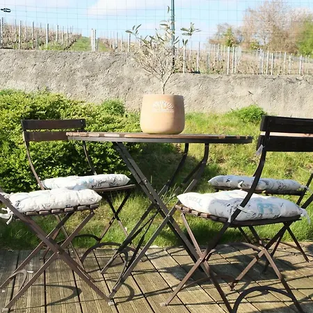 Au Coeur Des Vignes 3*