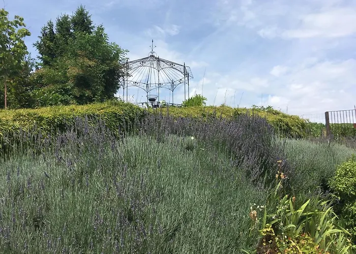 Au Coeur Des Vignes Bed & Breakfast Epernay