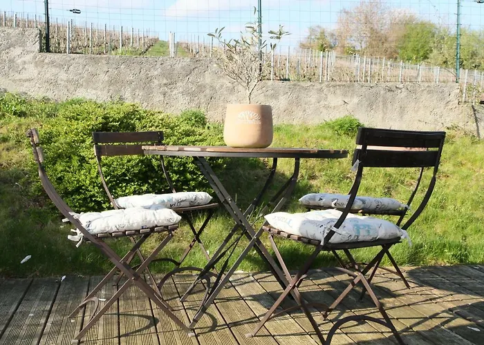 Au Coeur Des Vignes 3*